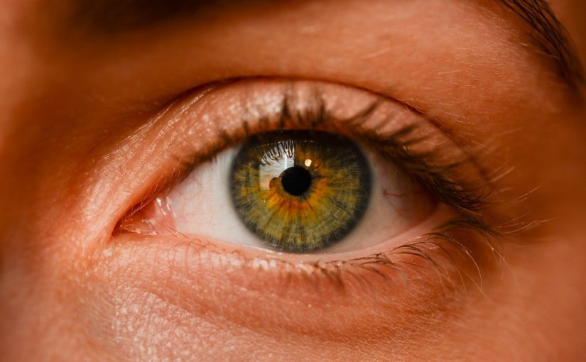 Oczy to nietypowy organ. To właśnie dzięki nim rozróżniamy.